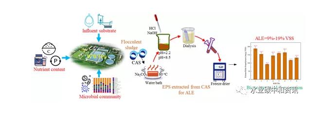 研究速递 | 活性污泥类藻酸盐物质回收：潜力、性质及限制因素