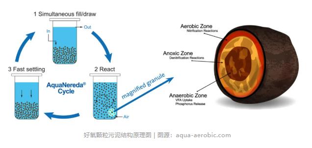 与屠宰场共生？荷兰污水厂碳减排又有新尝试！